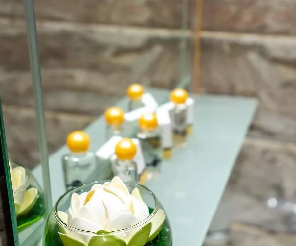 Park Emilin Апартамент *